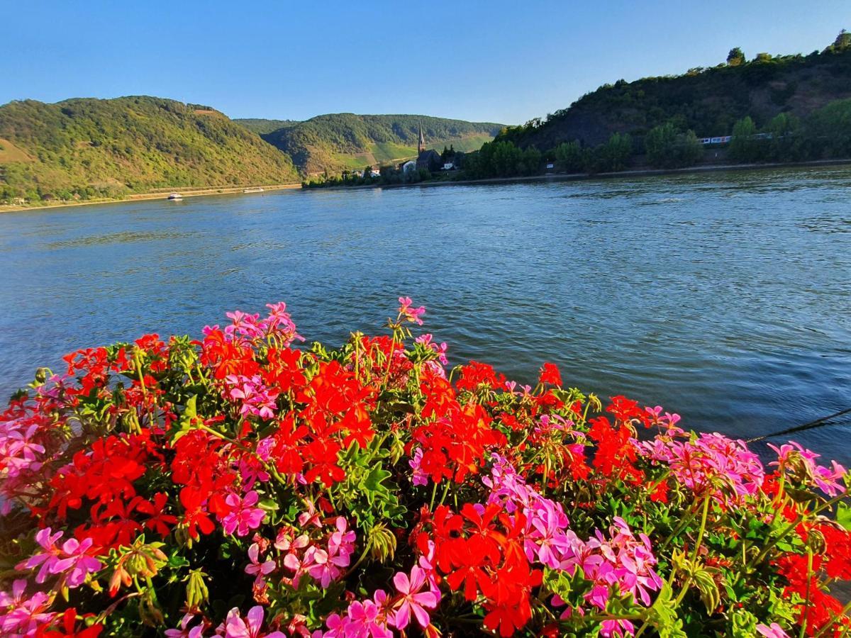 Grosse Wohnung Mit Rheinblick Boppard Eksteriør billede